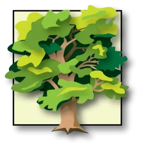 ofa tree only.webp