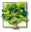 ofa tree only.webp