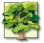 ofa tree only.webp